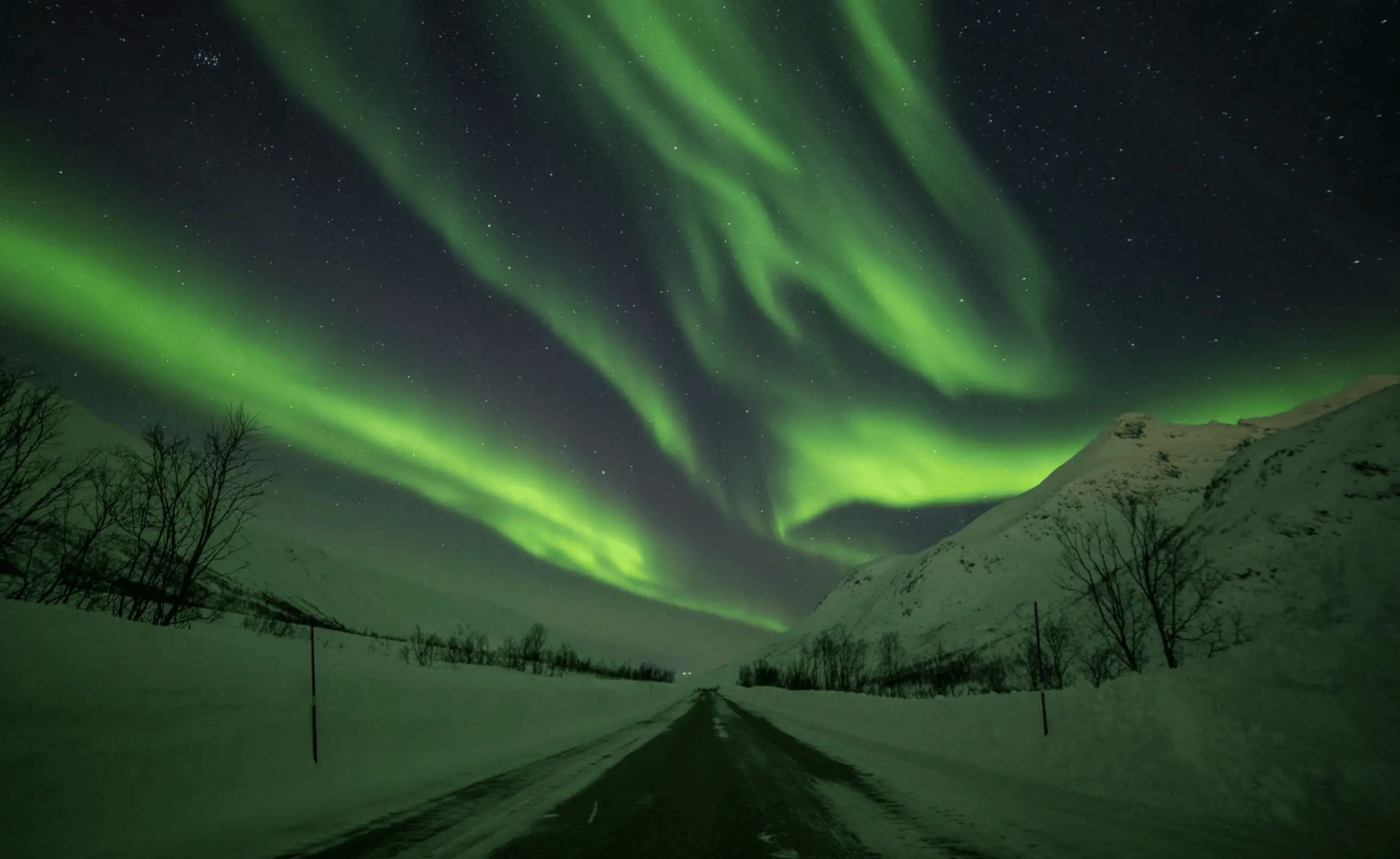 Tromsø: Chasing the Aurora – We Go Where The Lights Appear photo 23