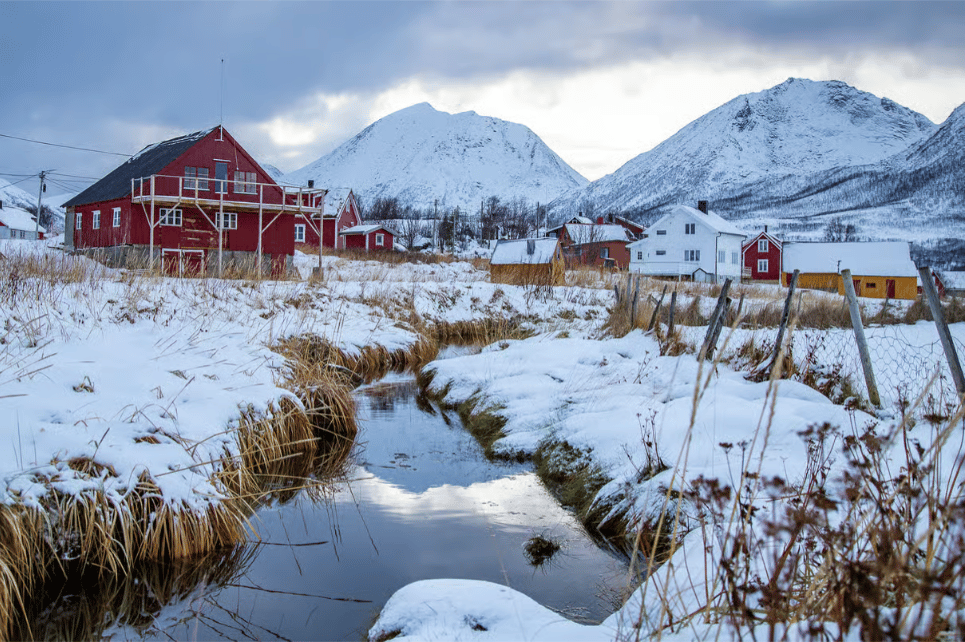 Tromsø: Sommarøy Trip with Scenic Lunch and Photo photo 11