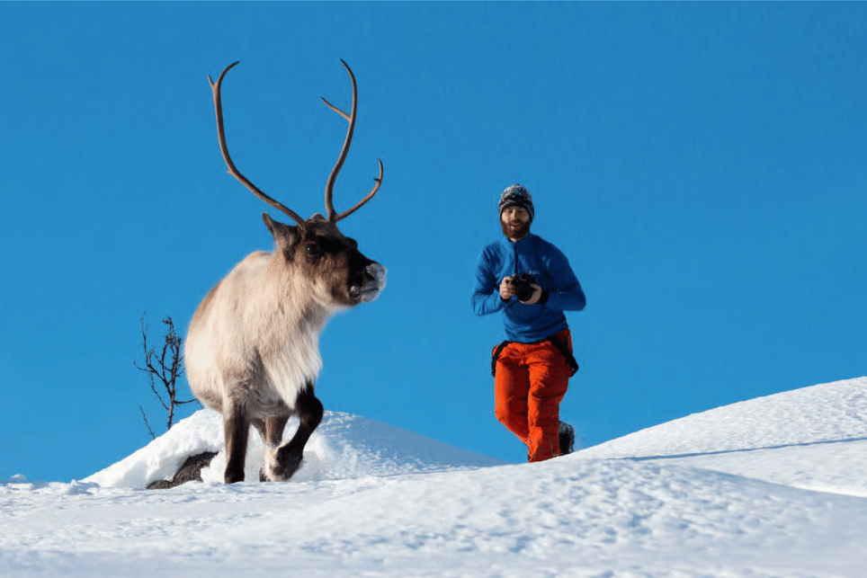 Tromsø: Sommarøy Trip with Scenic Lunch and Photo