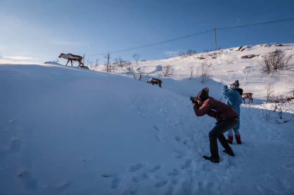 Tromsø: Sommarøy Trip with Scenic Lunch and Photo photo 9