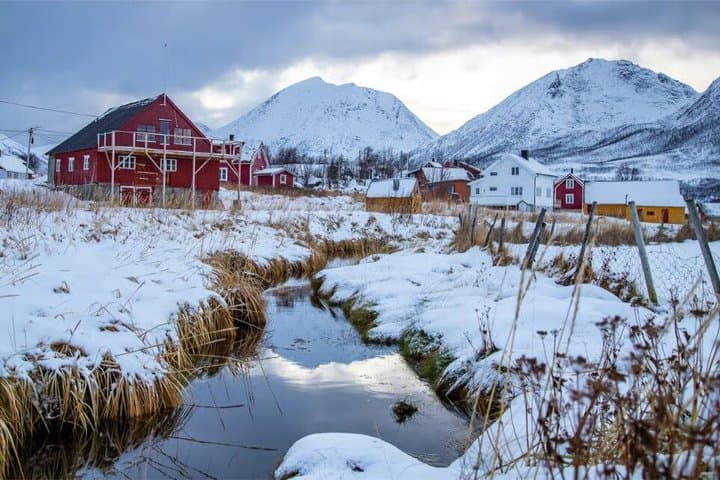 Tromsø: Arctic Fjord Trip to Sommarøy with Scenic Picnic photo 11