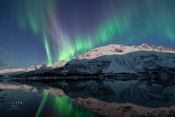Tromsø: Small Group | Northern Lights Chase + All-Inclusive photo 26