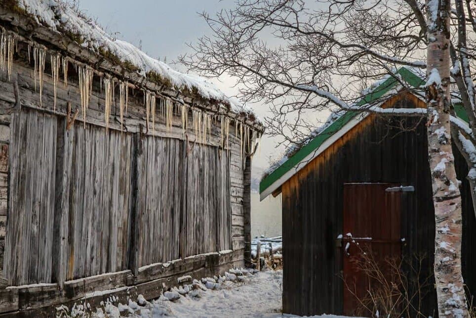 Tromsø: Sommarøy Trip with Scenic Lunch and Photo photo 15