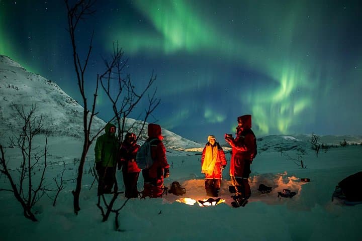 Tromsø Northern Lights Chase We Go Where The Lights Appear photo 16