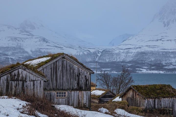 Arctic Nature Tour from Tromsø with Scenic Sommarøy picnic photo 11