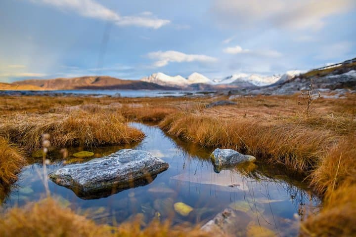 Arctic Nature Tour from Tromsø with Scenic Sommarøy picnic photo 8