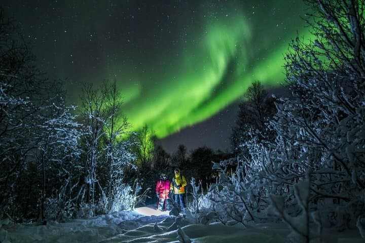Tromsø: Private Northern Lights Chase + All-Inclusive (Max 15)