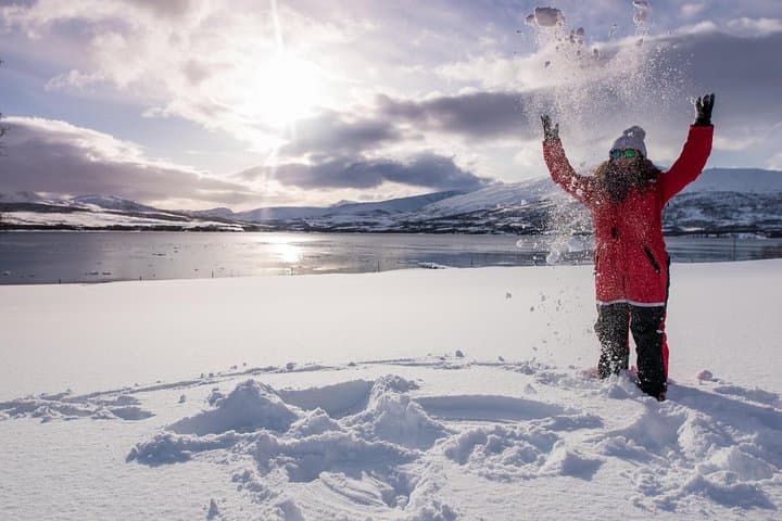 Arctic Nature Tour from Tromsø with Scenic Sommarøy picnic photo 10