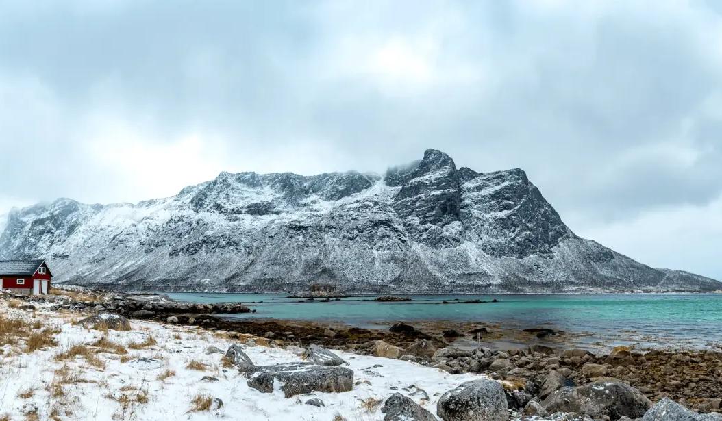 Arctic Nature Tour in Tromsø: What to Expect, Season by Season