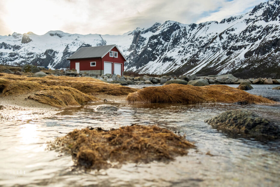 A red house stands by a rocky shore with water in the foreground, surrounded by snow-capped mountains under a cloudy sky—the perfect spot to photograph the northern lights.